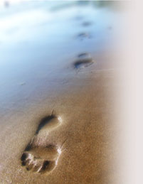 Carol Potter - CBT What Happens Next?